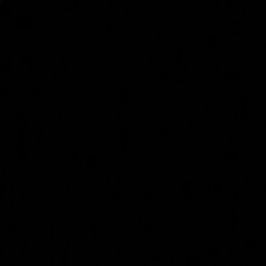 Meet your Posher, Bryan